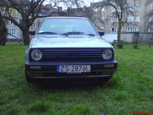 Golfik z przodu