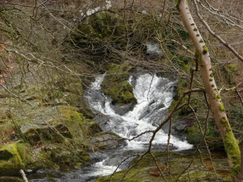 potok w Wicklow Mountains