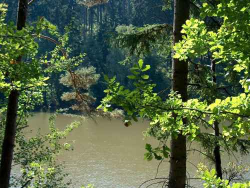 Jezioro Wrzeszczyńskie i okolice #ZaporaWodna #krajobraz #ElektrowniaWodna #pilchowice #JeleniaGóra #tama #bóbr #natura #przyroda #rzeka #jezioro #las