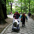 Obóz terapeutyczny -Danica /Słowacja/