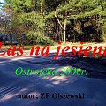 Droga leśna jesienią Ostrołęka 2006r.