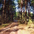 Droga leśna jesienią Ostrołęka 2006r.