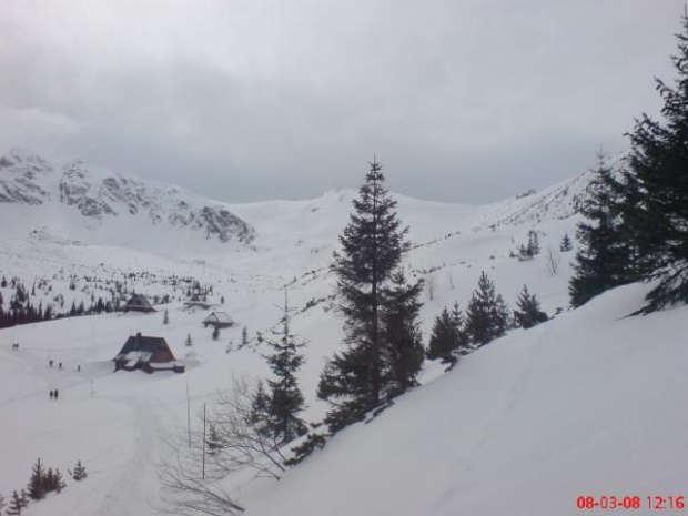 Tatry (8III2008)