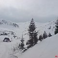 Tatry (8III2008)