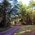 Droga leśna jesienią Ostrołęka 2006r.
