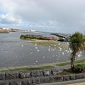 zatoka w Galway