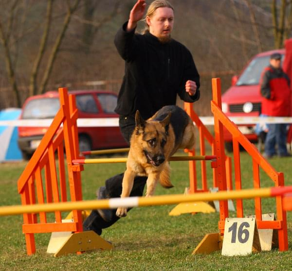 Zawody Agility Płock 5-6.04.2008 Psy