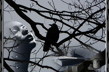 Mądrość kruka... #PSP #grafika #kobieta #kruk