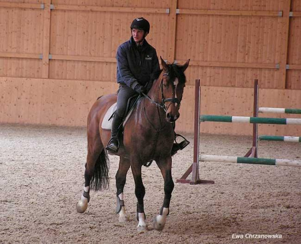 08.04.2008 Łomnica II trening konie na padoku, koty