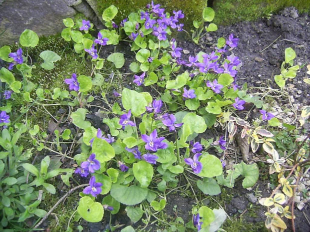 15 kwietnia