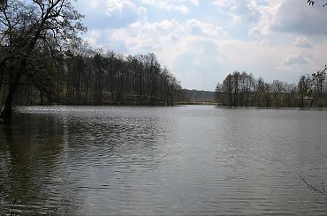 Las Nadleśnictwa Brzeziny w Kaletniku gm. Koluszki #Koluszki #wiosna #las #Nadlesnictwo #Brzeziny #Kaletnik #staw #Lisowice #Rochna