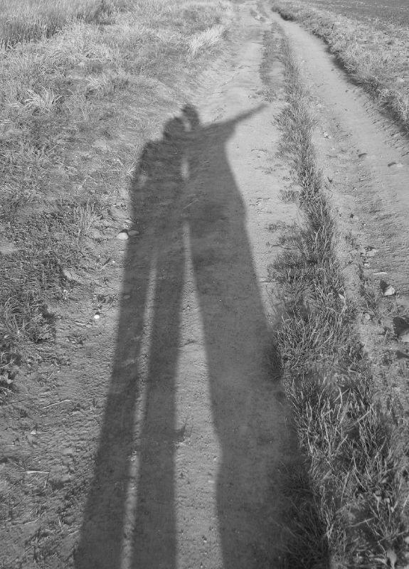 nasze cienie na polnej drodze #cienie #shadows