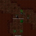 #tibia