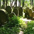 las grobów #lesko #cmentarz #judaika #macewa #macewy