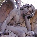 anielskie czekanie #cmentarz #rzym #roma #anioł #skrzydła