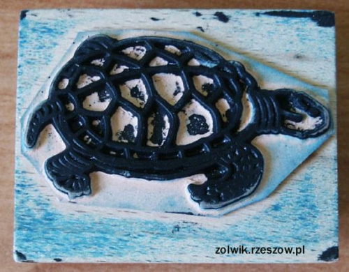 żółwik stempelek #żółw #żólwik #kolekcja