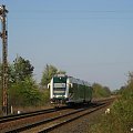 24.04.2008 (szlak Kostrzyn -Dąbroszyn) SA133-006 zbliża się do symafora wjazdowego do Kostrzyna oraz końca swej podróży.