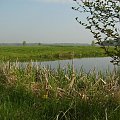 Okolice wsi Mąkosy położonej niedaleko Radomia w województwie mazowieckim. #Mąkosy #Mazowsze #mazowieckie #przyroda