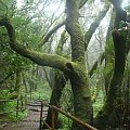 la gomera 8.4.08