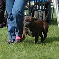 Coco Chanel Buldozer