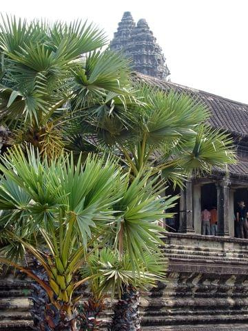 Angkor Wat