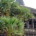 Angkor Wat