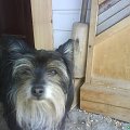 w sumie fajna sunia jestem chyba, nie?