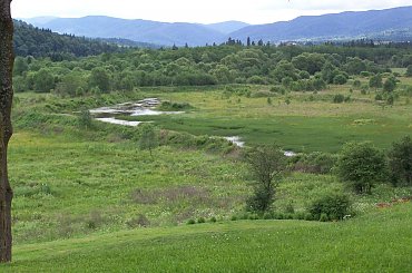#bieszczady #przyroda
