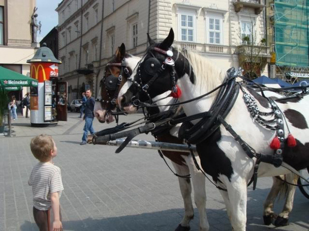 Pawełek i Jasio w Krakowie i Tatrach-maj 2008 z Agatką i Adasiem