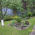 ogród w lesie #Wiosna2008
