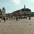 Stare Miasto i okolice w czasie wystawy niedźwiedzi.