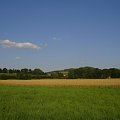 Salviova Łąka