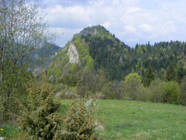 Pieniny Słowackie maj 2008