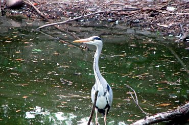 #zwierzęta #ZOO #Wrocław #przyroda