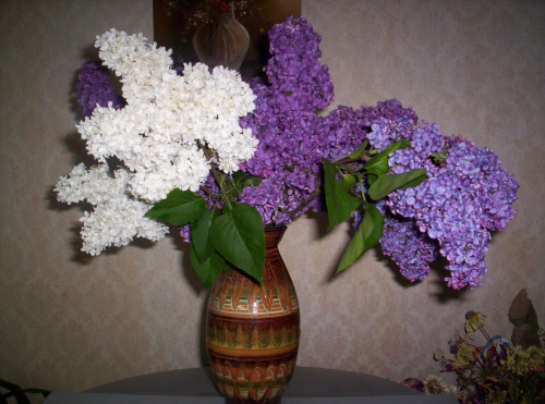 Bukiet kwiatów Babci 2008 rok
