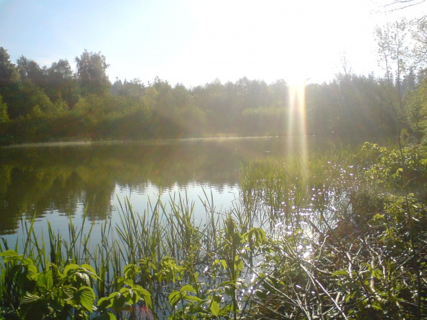 Staw nr 3 w Wilkanowie. #staw