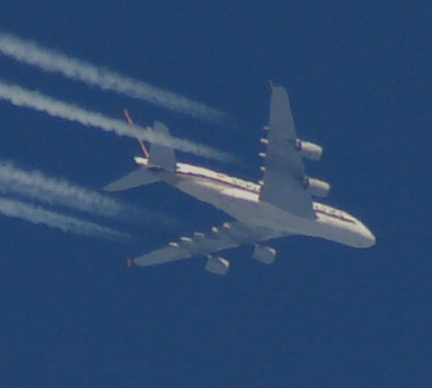 Airbus A388 Singapore Airlines