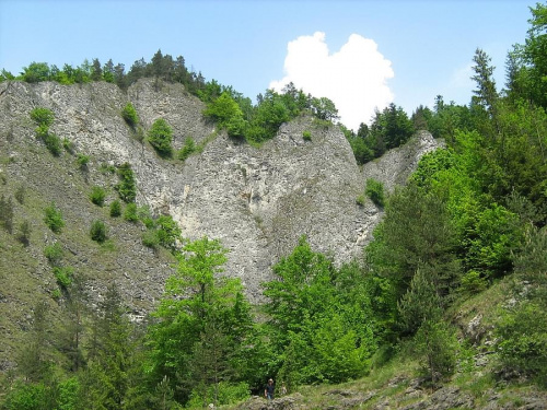 #dunajec #spływ #pieniny