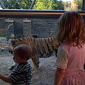 #dzieci #zoo #przyroda