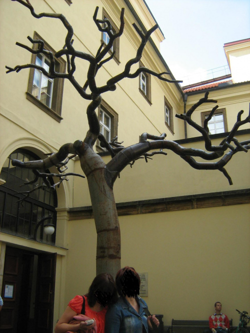 Praga - stalowe drzewo