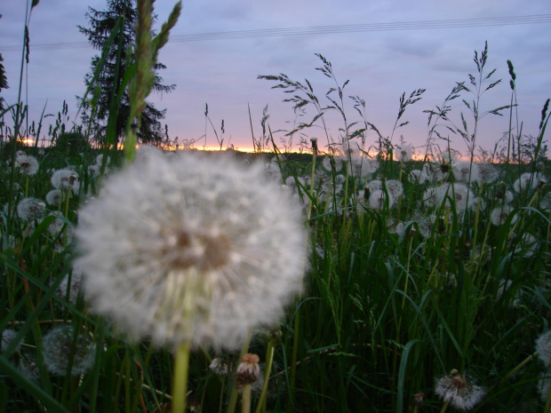 #słońce #niebo #natura