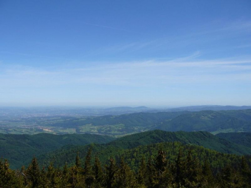 widok z wieży na Radziejowej na wschód (Nowy i Stary Sącz i Beskid Niski)