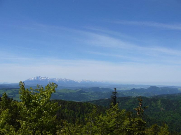 Tatry z Radziejowej