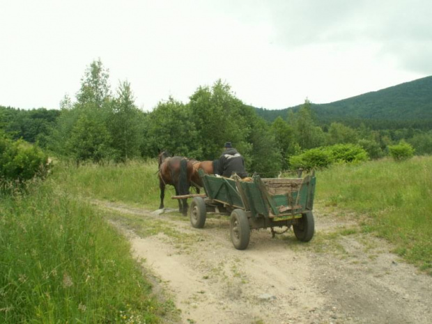 Niezawodne terenowe pojazy