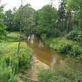 #LasyJanowskie #rzeka #woda