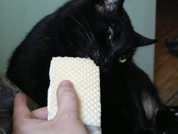 Kacperek.