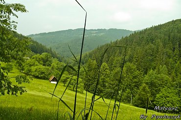 #Ustroń #góry #chatka #polana #trawa #las