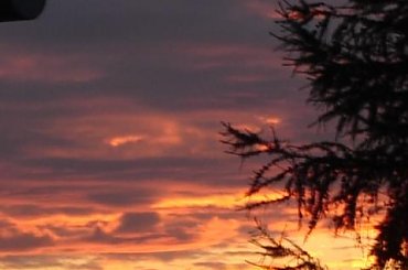 #słońce #niebo #czerwień #złoto