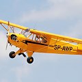 SP-AWP, Piper J-3 Cub