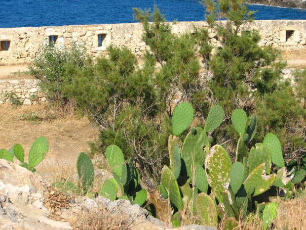 Rethymnon-Kreta